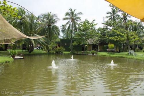 vn_september_15_00034